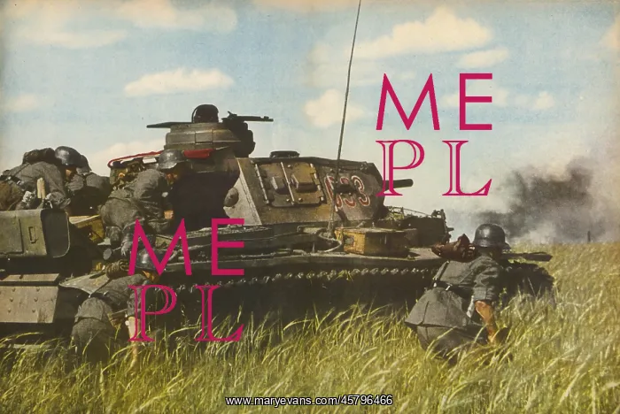 : GERMAN TANKS IN RUSSIA : GERMAN TANKS IN RUSSIA