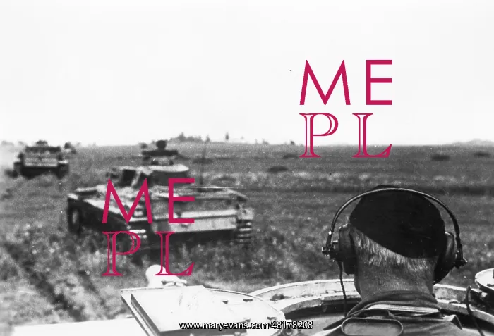 : German tanks in the southern sector of the Eastern Front, 19 : German tanks in the southern sector of the Eastern Front, 19