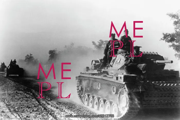 : German tanks at Terek, 1942 : German tanks at Terek, 1942