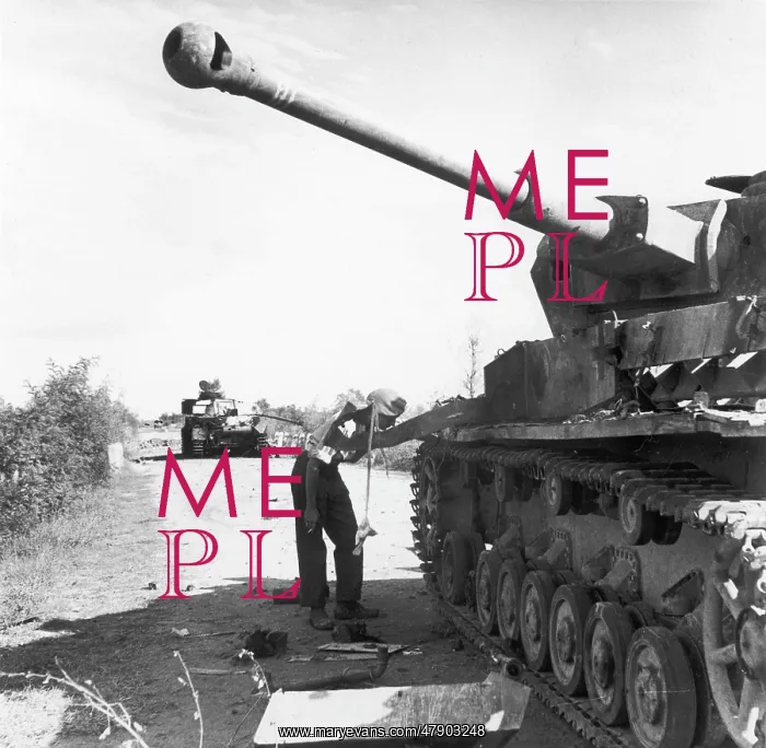 : German tanks WWII : German tanks WWII