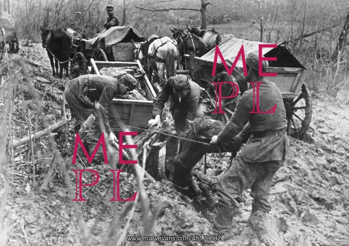 : German teams on the Eastern Front, 1942 : German teams on the Eastern Front, 1942