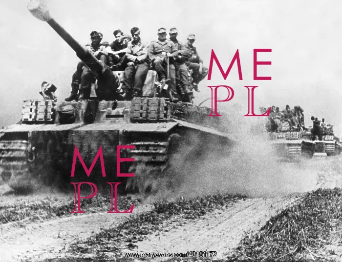 : German Tiger Tanks at the Eastern Front, 1944 : German Tiger Tanks at the Eastern Front, 1944