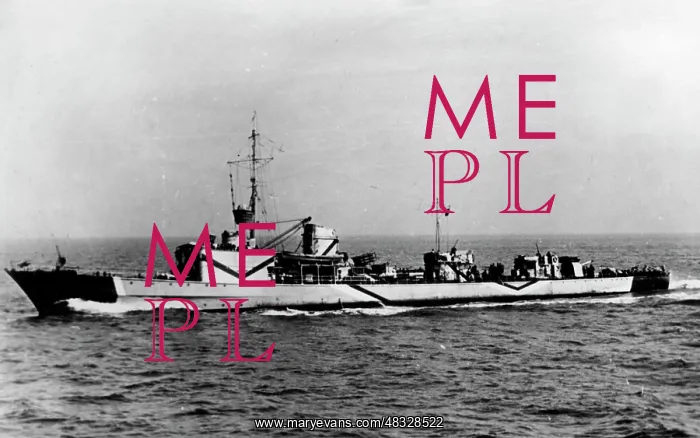 : German torpedo boat, 1942 : German torpedo boat, 1942
