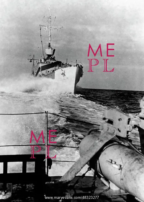 : German torpedo boats, 1941 : German torpedo boats, 1941