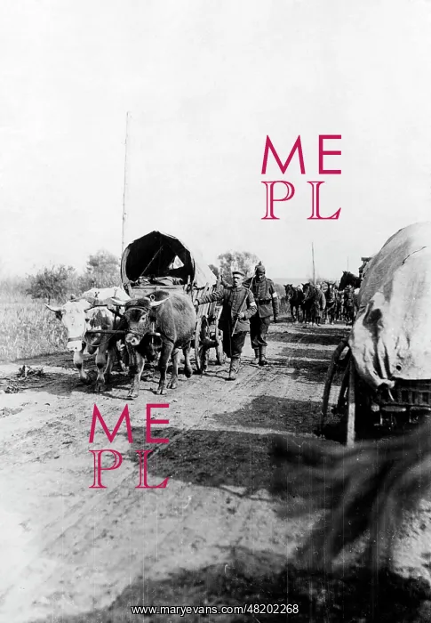 : German train vehicle in Serbia, 1916 : German train vehicle in Serbia, 1916