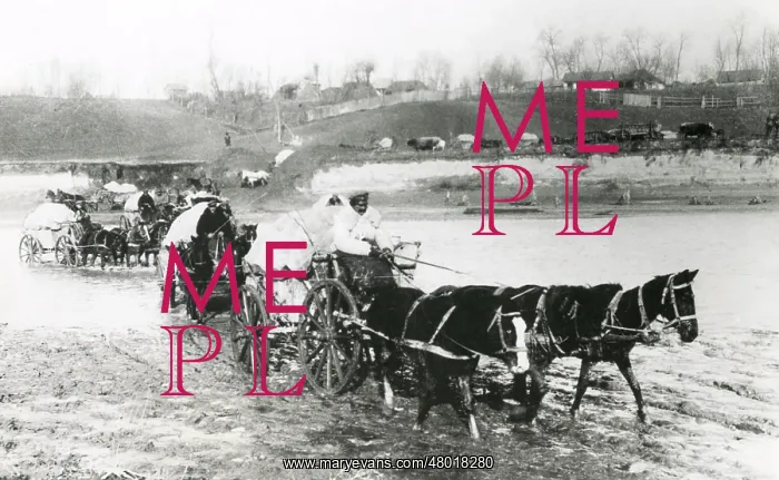 : German transport crossing river, Romanian Front, WW1 : German transport crossing river, Romanian Front, WW1