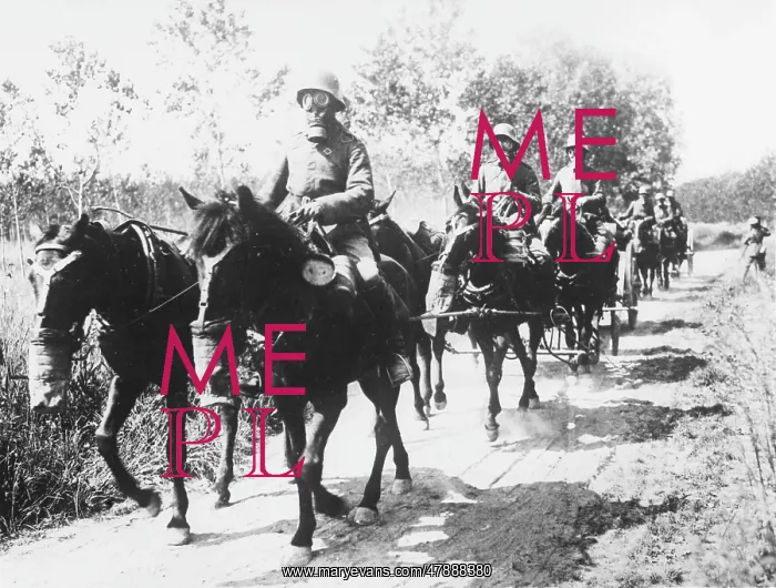  : German transport WWI