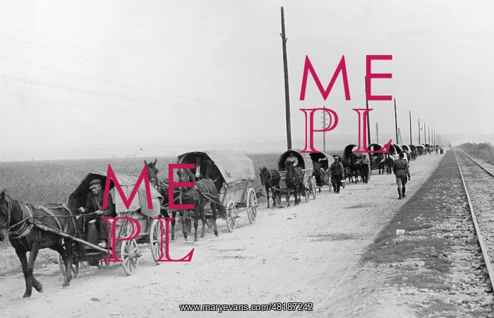 : German trek in Romania, 1940 : German trek in Romania, 1940