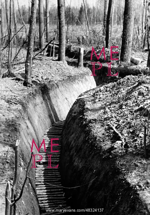 : German trench - Eastern Front, 1942 : German trench - Eastern Front, 1942