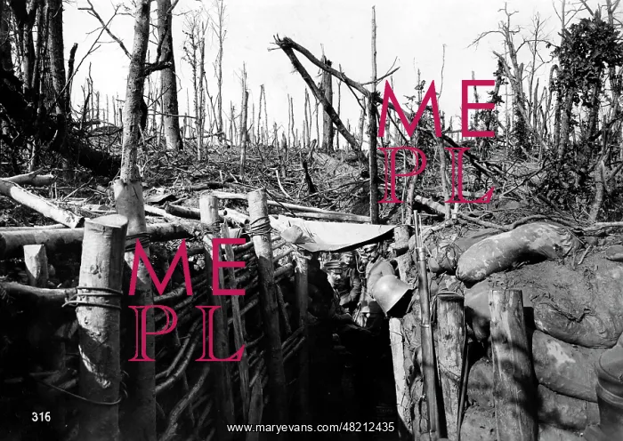 : German trench in the Vosges during the FIrst World War : German trench in the Vosges during the FIrst World War
