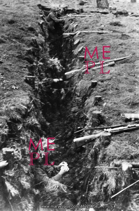 : German trenches on the Western Front, 1945 : German trenches on the Western Front, 1945