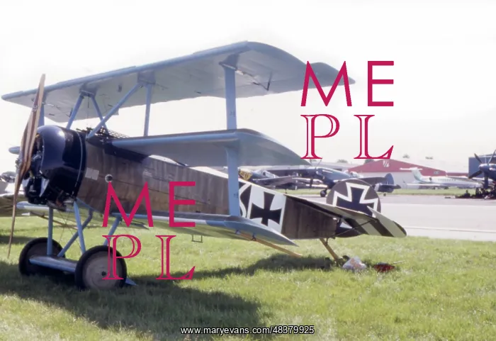  : A German triplane