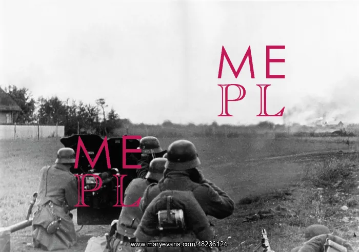 : German troops in action on the island of Hiiumaa, 1941 : German troops in action on the island of Hiiumaa, 1941