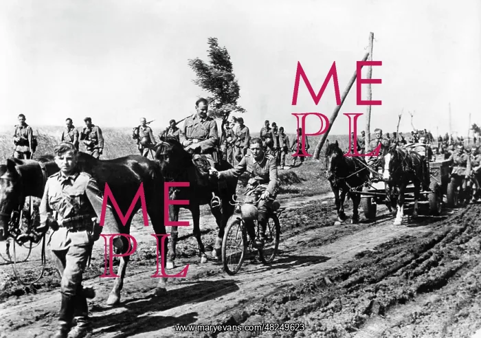 : German troops advancing on the Eastern Front, 1941 : German troops advancing on the Eastern Front, 1941