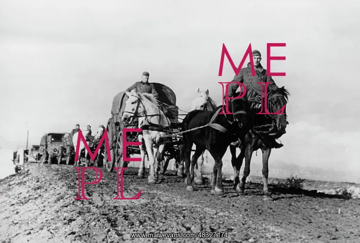 : German troops in the Crimea, 1941 : German troops in the Crimea, 1941