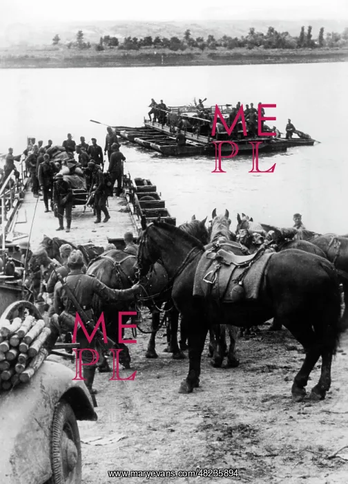 : German troops cross the Dniester, 1941 : German troops cross the Dniester, 1941
