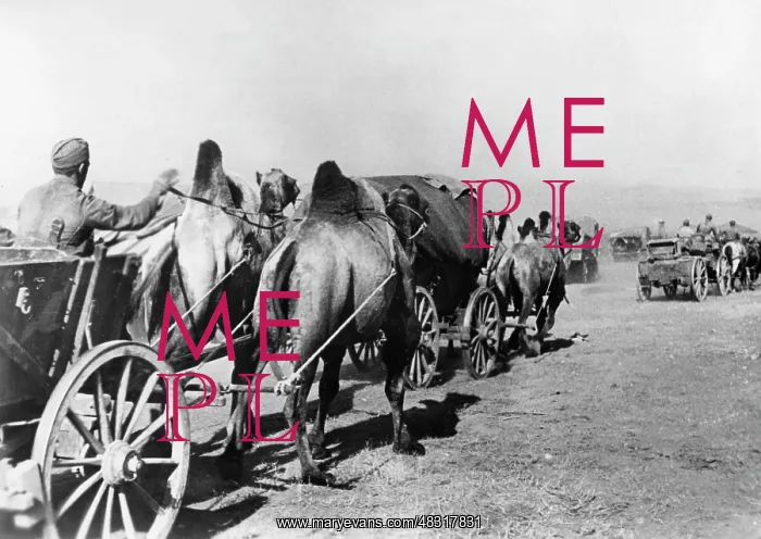 : German troops with dromedaries, 1942 : German troops with dromedaries, 1942