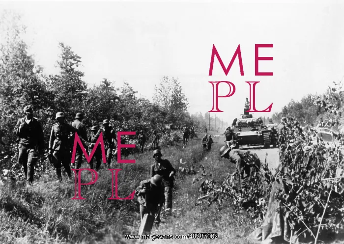 : German troops on the Eastern Front, 1941 : German troops on the Eastern Front, 1941