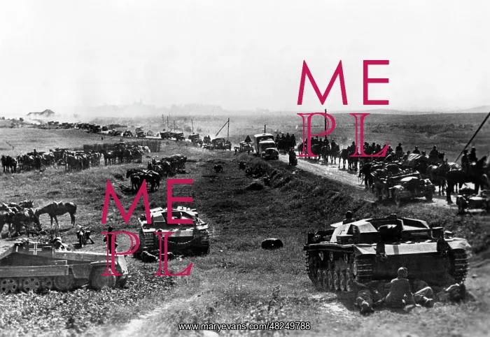 : German troops on the Eastern Front, 1941 : German troops on the Eastern Front, 1941