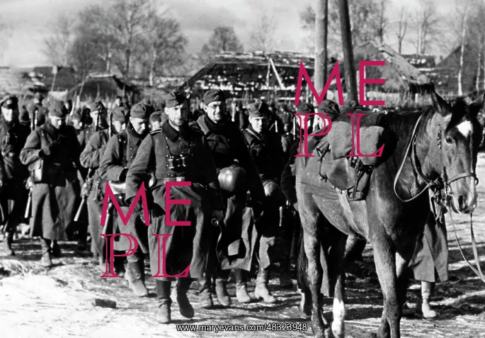 : German troops on the Eastern Front, 1941 : German troops on the Eastern Front, 1941