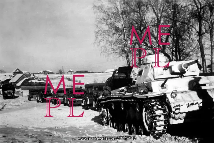 : German troops on the Eastern Front in winter, 1942 : German troops on the Eastern Front in winter, 1942