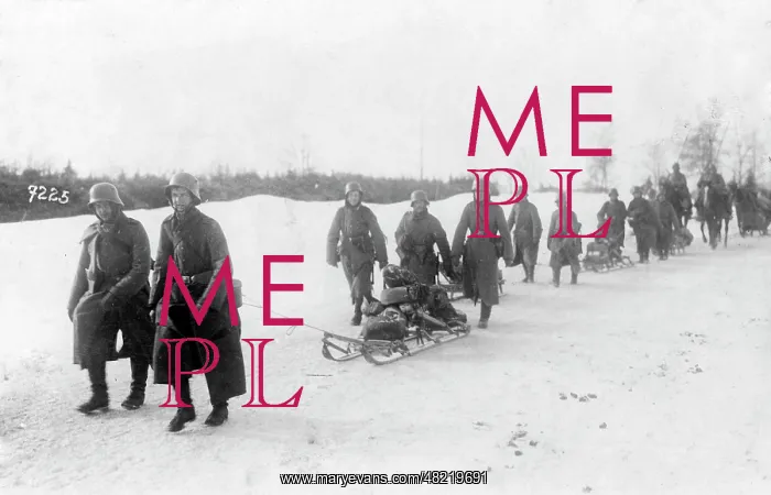 : German troops in Estonia, 1918 : German troops in Estonia, 1918