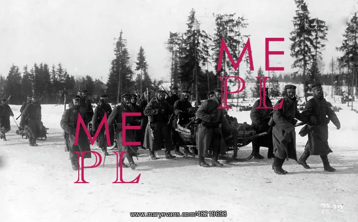 : German troops in Estonia, 1918 : German troops in Estonia, 1918