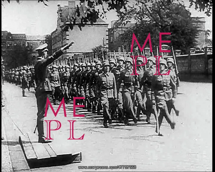 : German Troops Goose Stepping : German Troops Goose Stepping