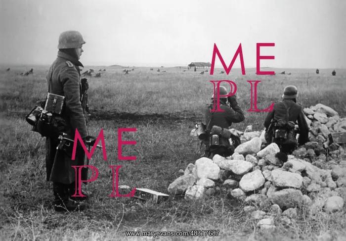 : German troops near Feodosia, 1942 : German troops near Feodosia, 1942