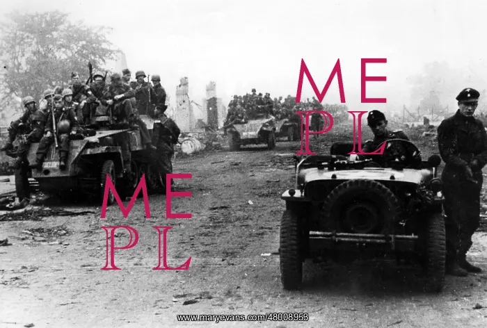 : German troops in the Netherlands, 1944 : German troops in the Netherlands, 1944