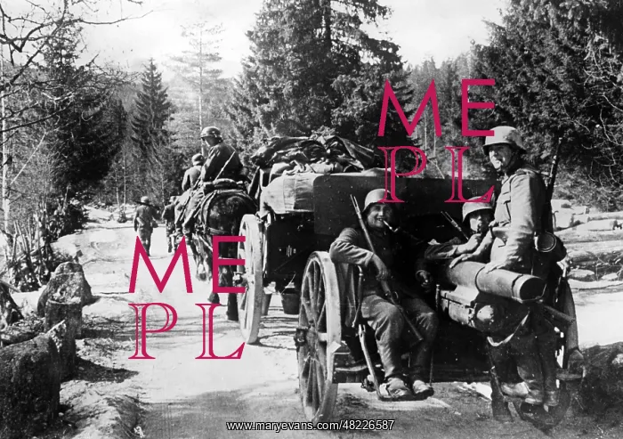 : German troops in Norway, 1940 : German troops in Norway, 1940