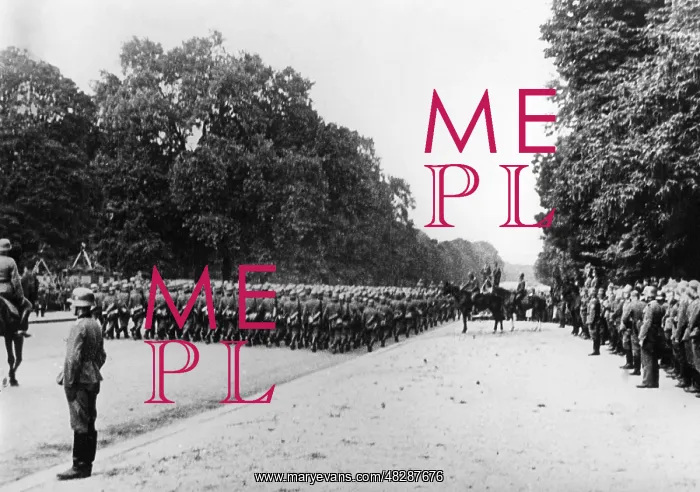 : German troops at the victory parade in Paris, 1940 : German troops at the victory parade in Paris, 1940