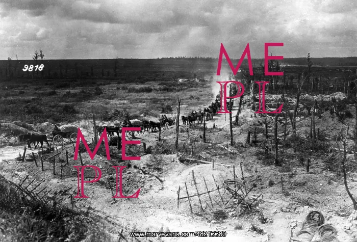 : German troops at the Western Front, 1918 : German troops at the Western Front, 1918