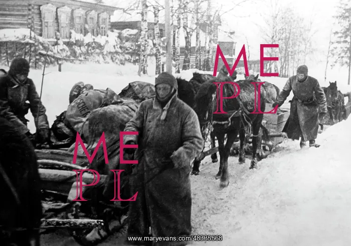 : German troops in winter on the Eastern Front, 1942 : German troops in winter on the Eastern Front, 1942