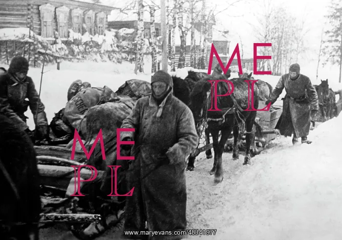 : German troops in winter on the Eastern Front, 1942 : German troops in winter on the Eastern Front, 1942