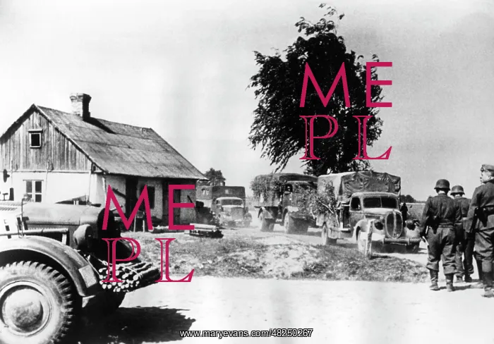 : German vehicle convoy on the Eastern Front, 1941 : German vehicle convoy on the Eastern Front, 1941