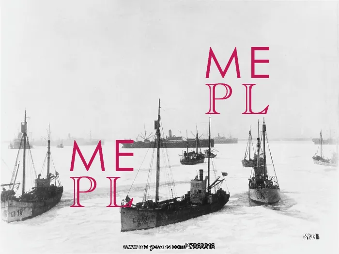  : German war fleet WWI