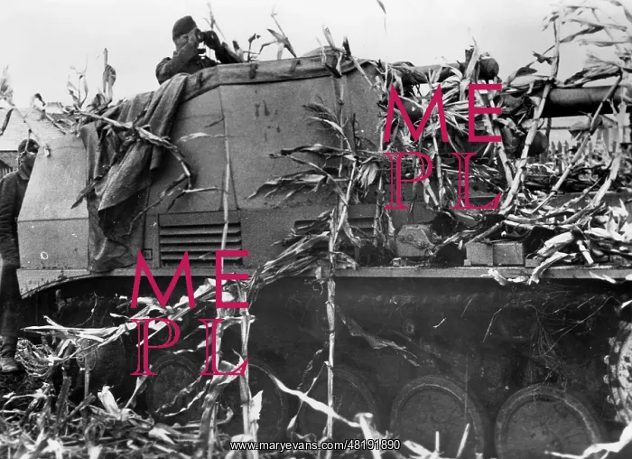 : German Wasp field howitzer on the Eastern front, 1943 : German Wasp field howitzer on the Eastern front, 1943