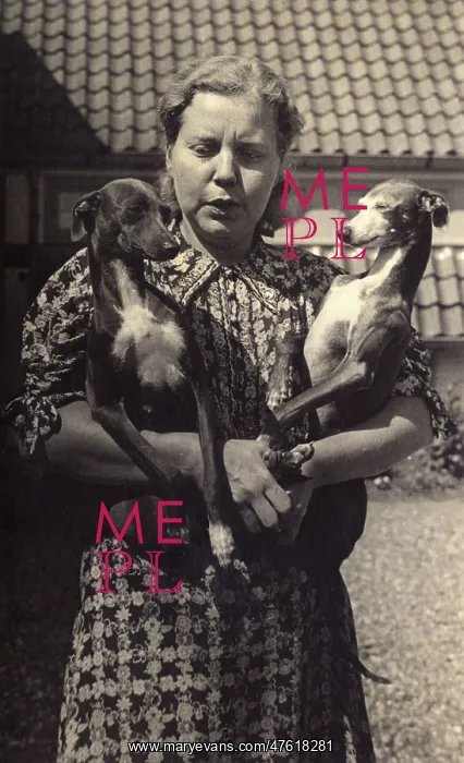 : German woman and two dogs : German woman and two dogs