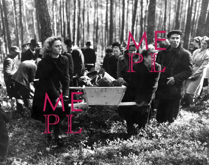 : German women carry a corpse from in the woods : German women carry a corpse from in the woods