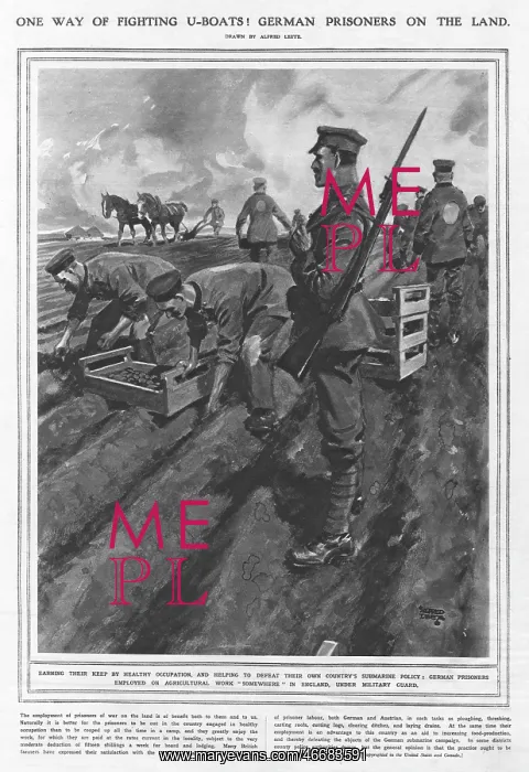 : German WWI prisoners working the land : German WWI prisoners working the land