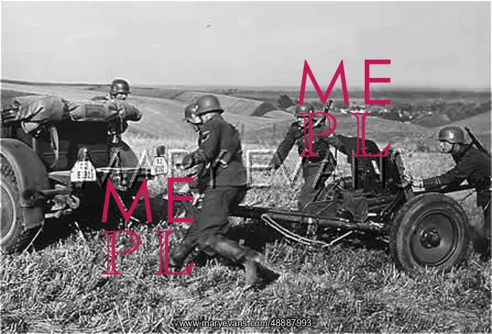 : GERMANS IN DANZIG : GERMANS IN DANZIG