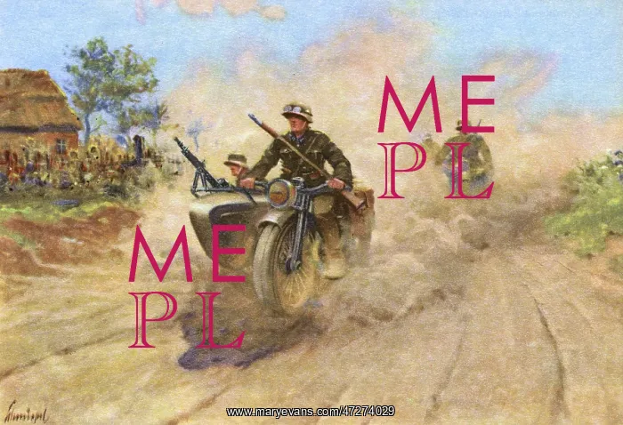 : GERMANS INTO POLAND 1939 : GERMANS INTO POLAND 1939