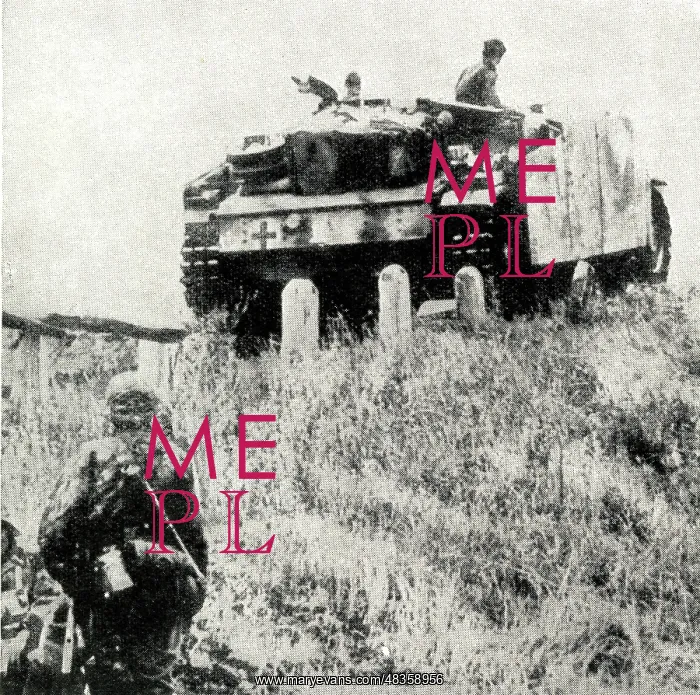 : Germans pushed back across Pripet Marshes, WW2 : Germans pushed back across Pripet Marshes, WW2