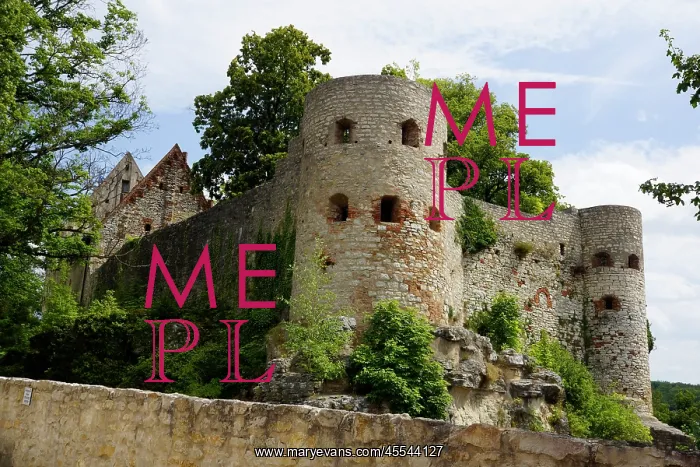  : Germany, Bayern, Pappenheim