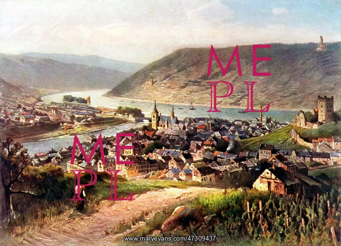  : GERMANY / BINGEN C1905