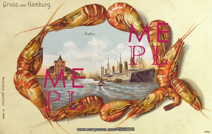 : Germany - Hamburg - The Harbour : Germany - Hamburg - The Harbour