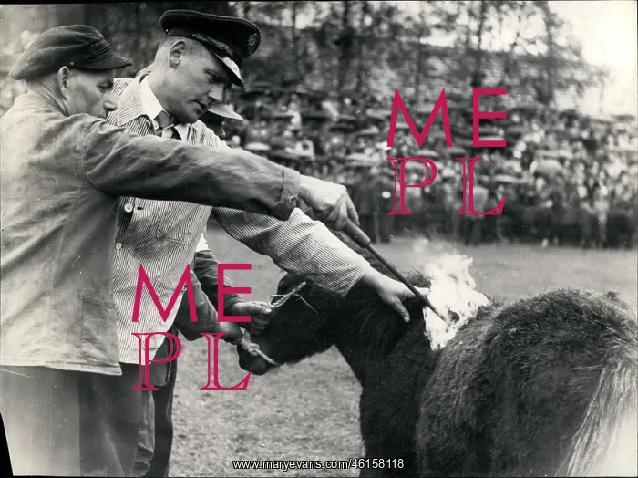 : Germany - Lithuania - Poland : Germany - Lithuania - Poland
