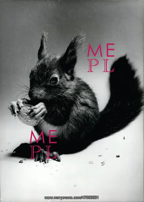 : Germany - Lithuania - Poland : Germany - Lithuania - Poland