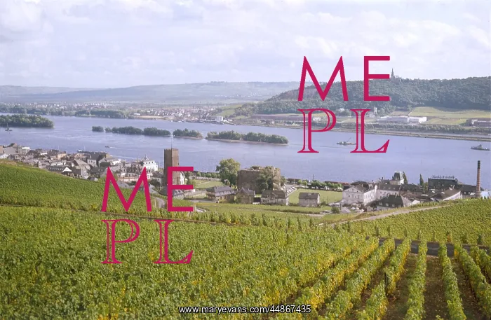  : GERMANY / RUDESHEIM